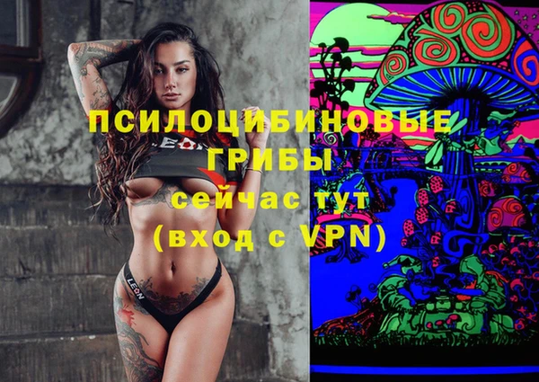 стафф Волоколамск