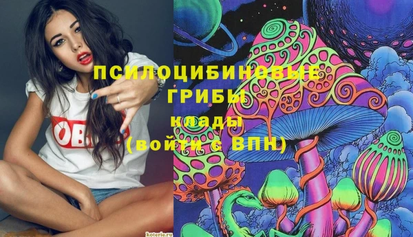стафф Волоколамск