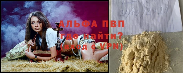 стафф Волоколамск
